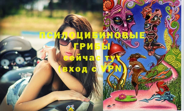 твердый Абаза