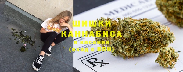 твердый Абаза