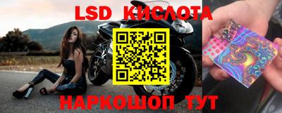прущие грибы Брянск