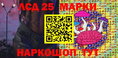прущие грибы Брянск