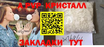 прущие грибы Брянск