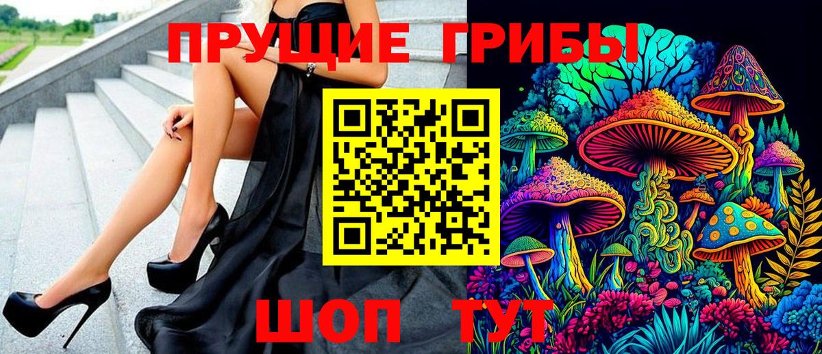 Псилоцибиновые грибы Psilocybine cubensis  Вход с VPN  Алатырь 