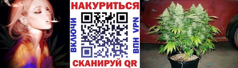 где купить наркоту  блэк спрут вход  Канабис планчик  Алатырь 